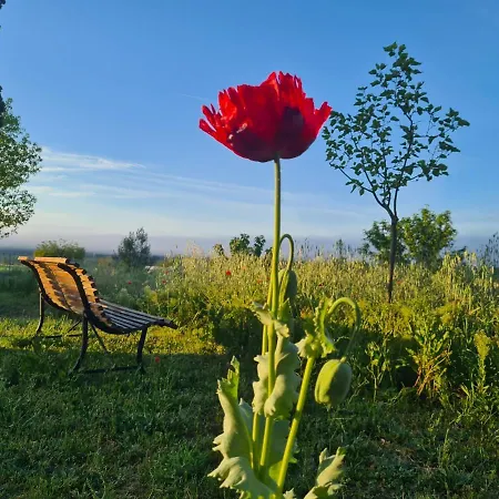 Kır Evi La Ferme Constantin