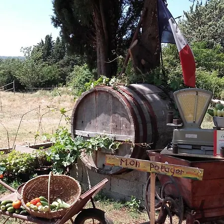 La Ferme Constantin Kır Evi Fayence