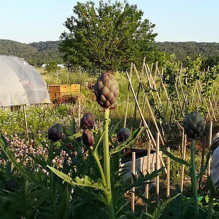 Kır Evi La Ferme Constantin Fayence