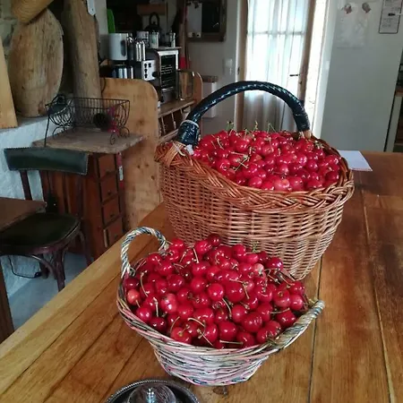 La Ferme Constantin Country house Fayence